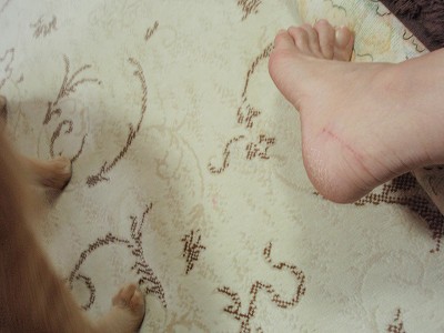c0145016_8105780.jpg