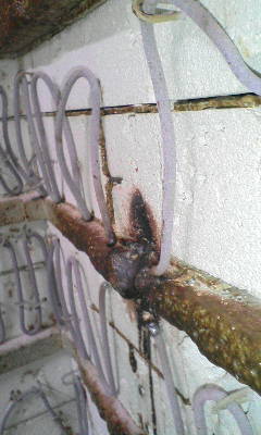 e0126218_8484674.jpg