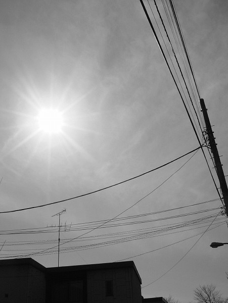 c0109827_17272222.jpg