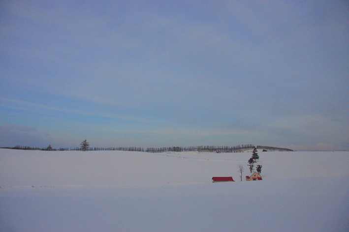 d0069235_21363244.gif