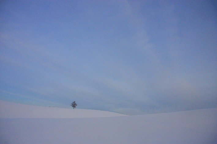d0069235_2136434.gif