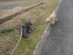 c0136736_2236266.gif