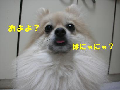 c0179136_2445983.jpg