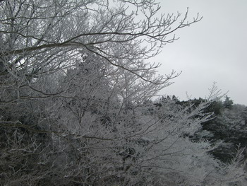 c0183137_1912522.jpg