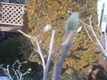 c0153444_1210089.jpg