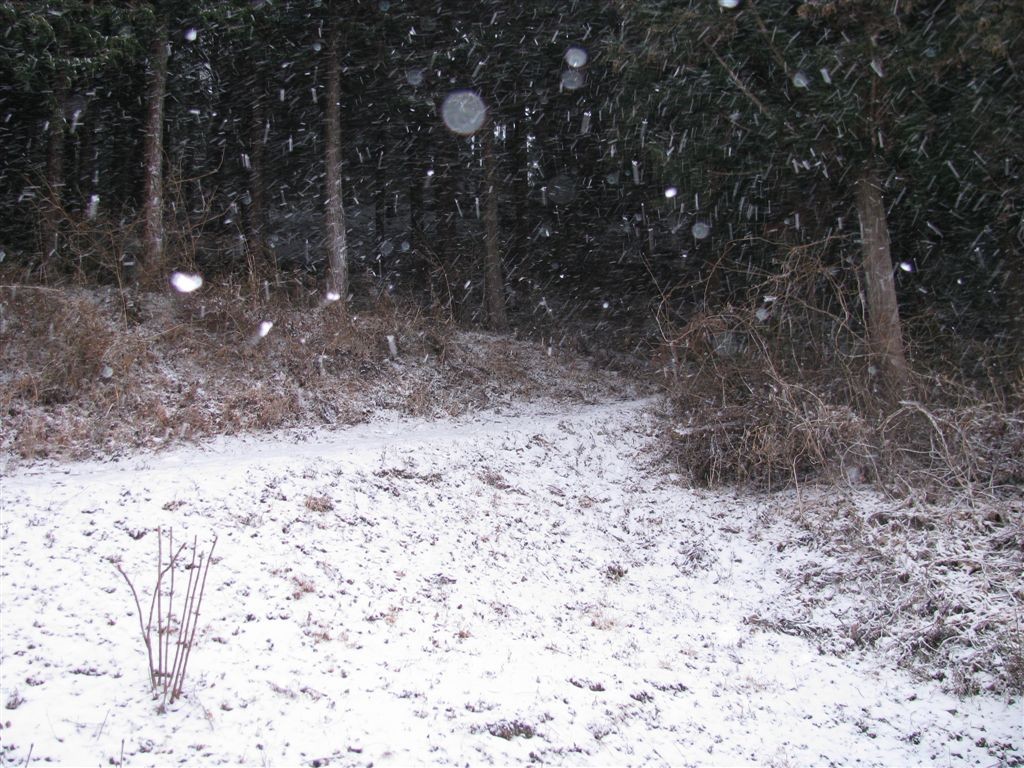 f0151044_712332.jpg
