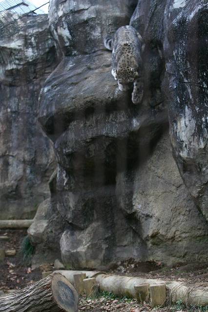 e0123945_6545595.jpg