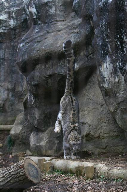 e0123945_6553539.jpg