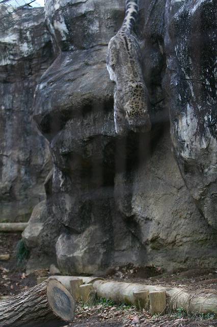 e0123945_655755.jpg