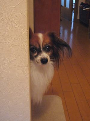 e0100046_21494263.jpg