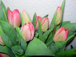 f0174549_3131336.jpg