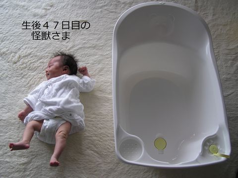 a0090451_22242625.jpg