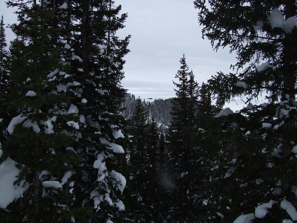 a0022655_8561786.jpg