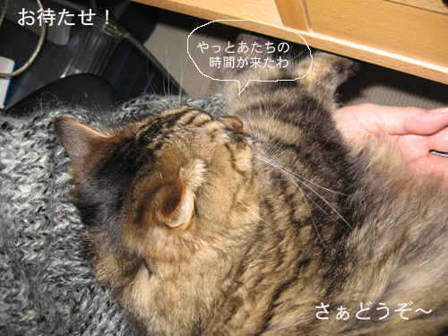 e0057361_1512147.jpg