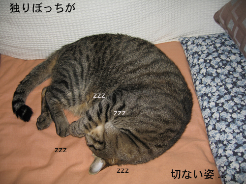 e0057361_1542116.jpg