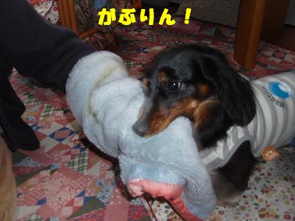 c0151866_125898.jpg