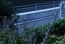 d0030373_20123653.jpg