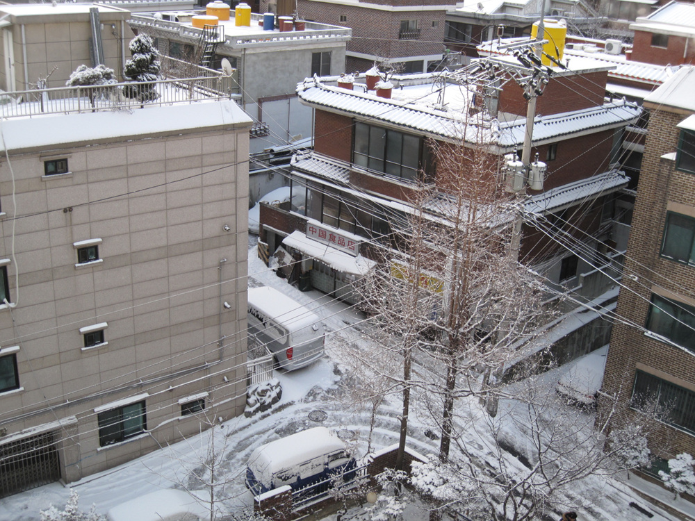 e0151775_082319.jpg