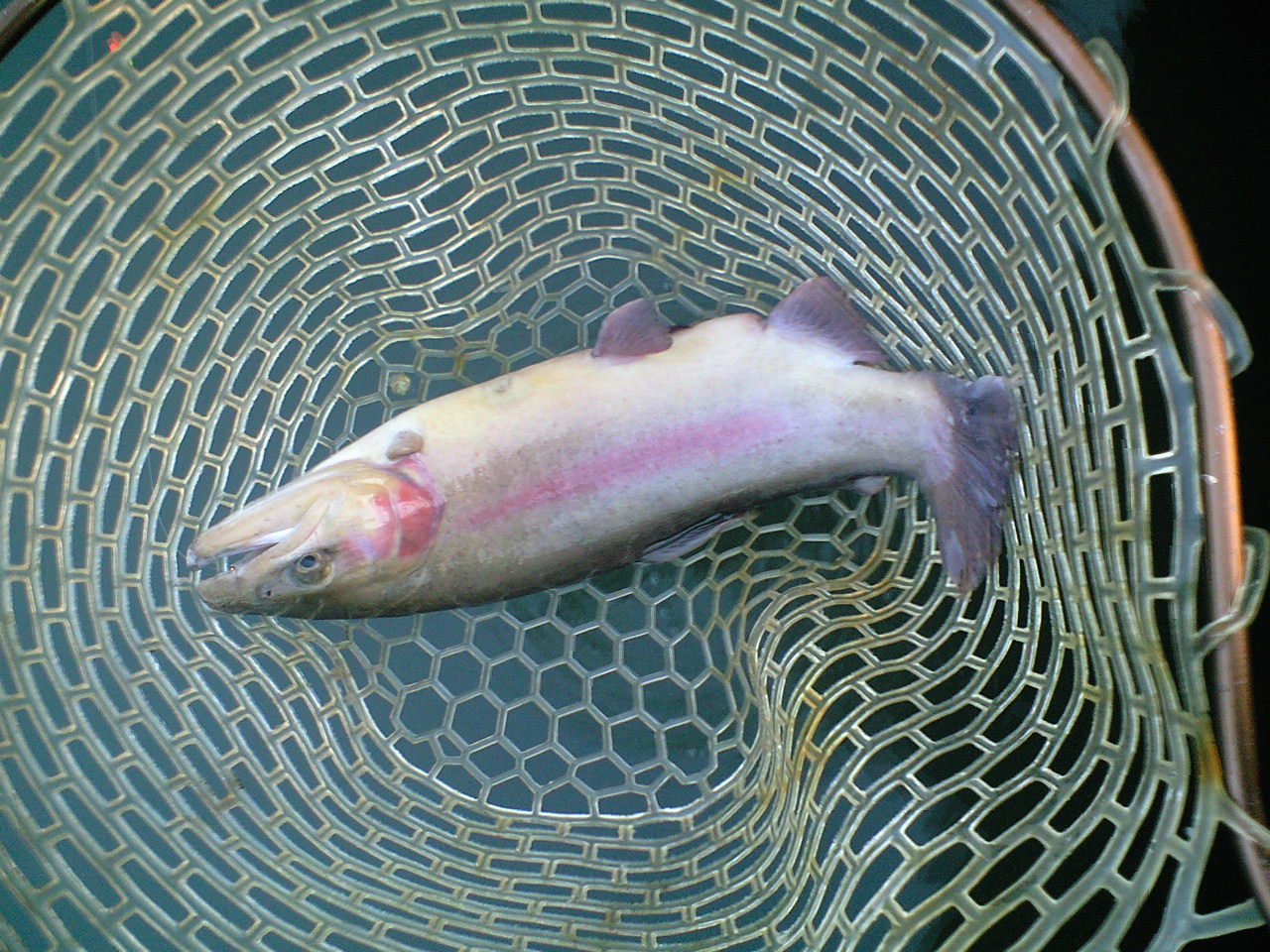a0093677_21304439.jpg