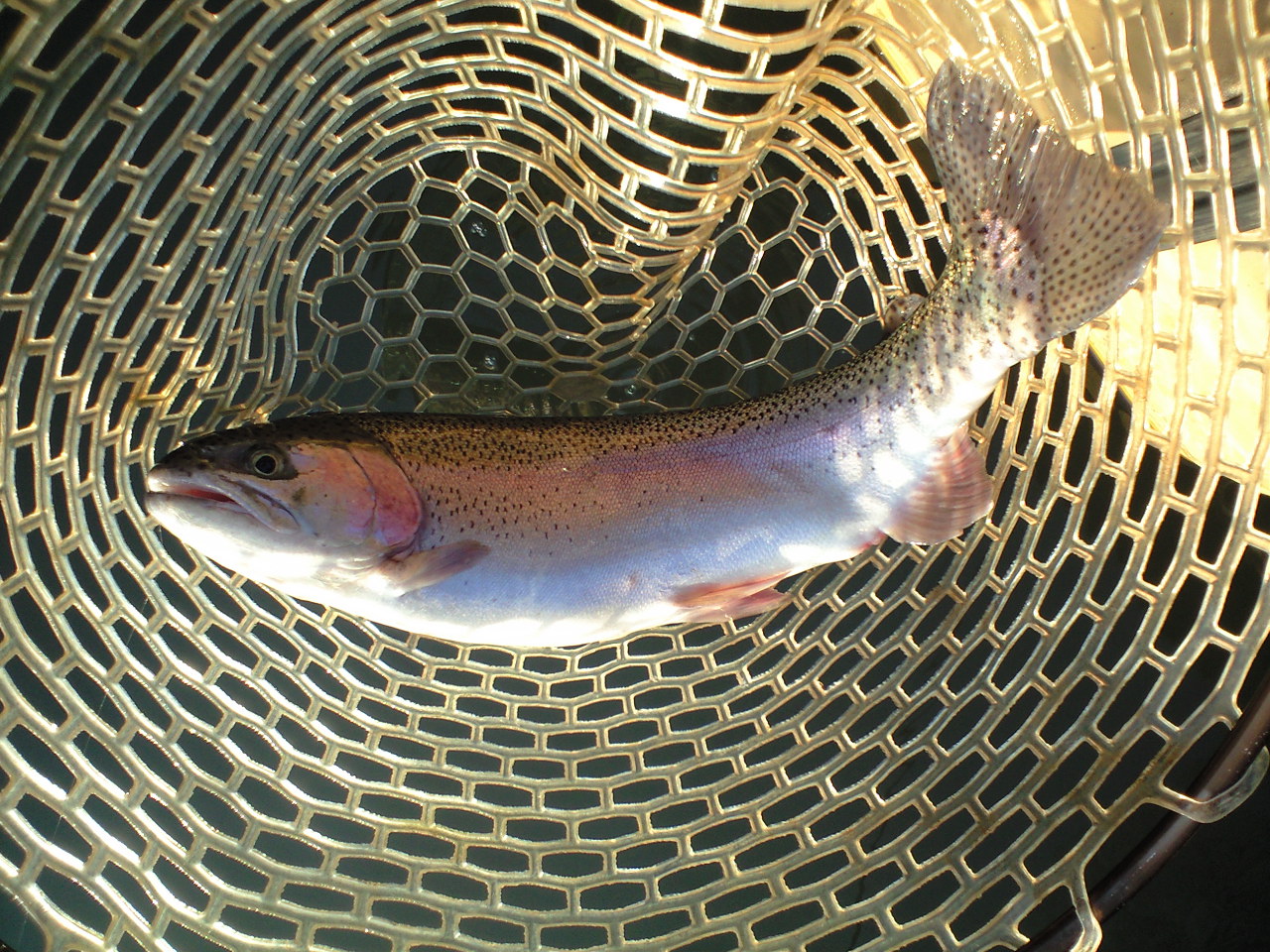 a0093677_2137291.jpg