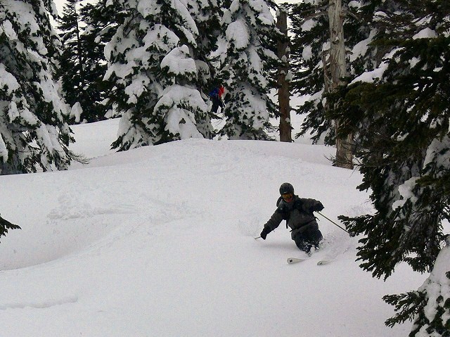 d0079579_20181599.jpg