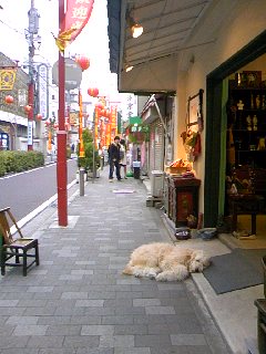 a0103293_9131086.jpg