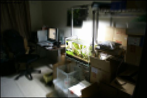 d0122893_19581397.jpg