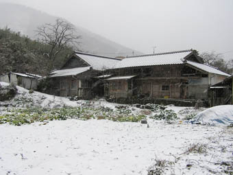 b0125397_23345770.jpg