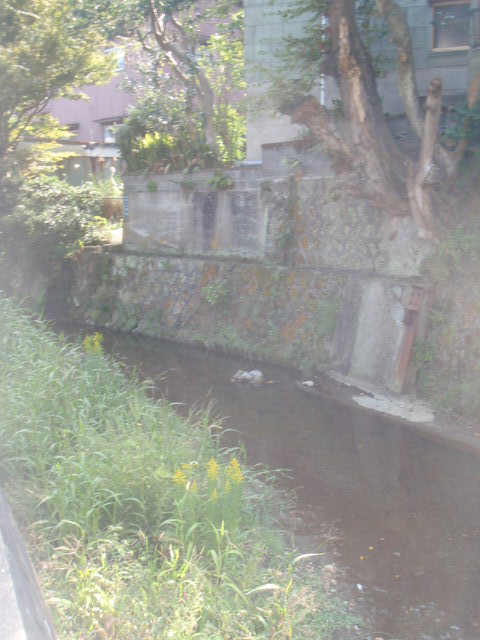 c0008598_20411471.jpg