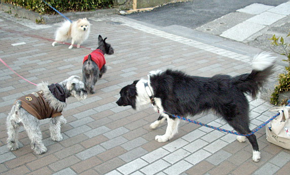 c0138198_16581634.jpg