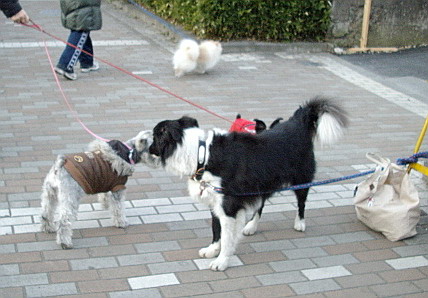 c0138198_1711456.jpg