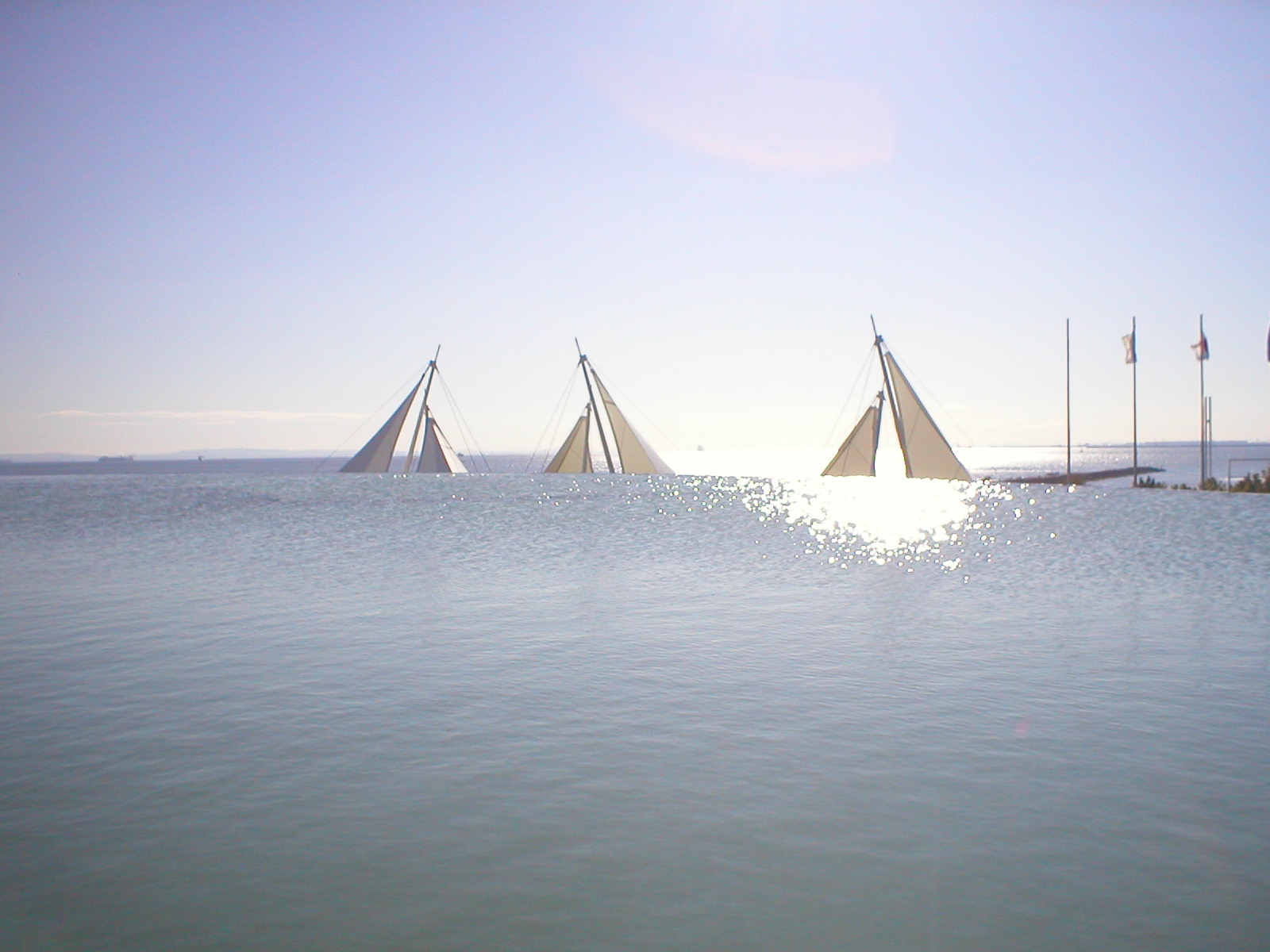 d0132414_08082.jpg
