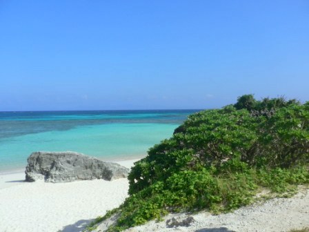 c0000816_8594172.jpg