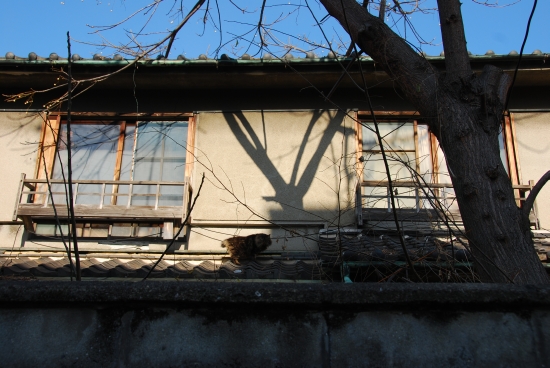 c0136217_8313253.jpg