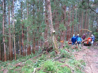 e0002820_19144819.jpg