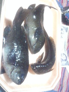 e0002927_2143644.jpg