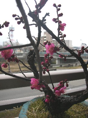 f0150629_0483847.jpg