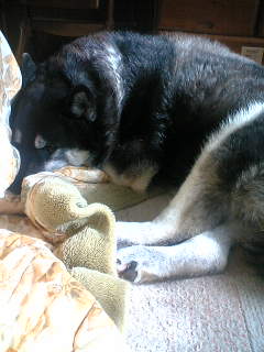 f0080530_1812896.jpg