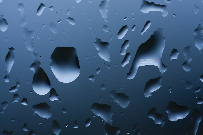b0144437_2032917.jpg