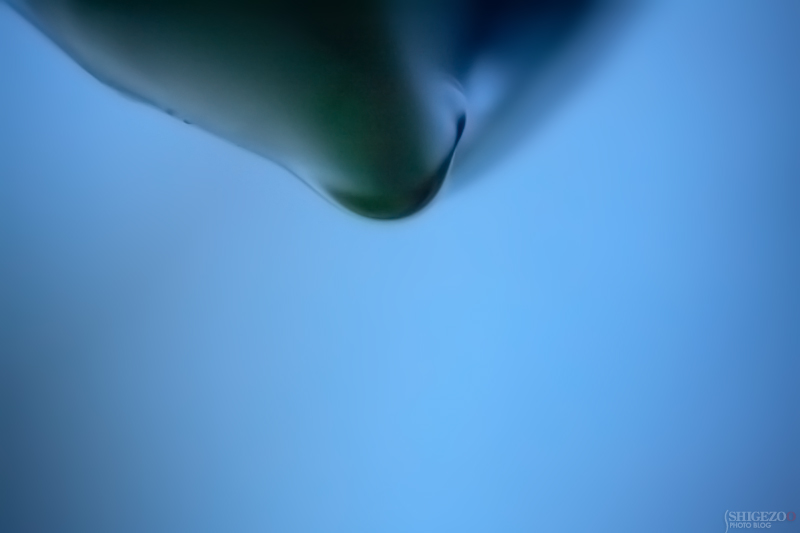 b0144437_2033517.jpg