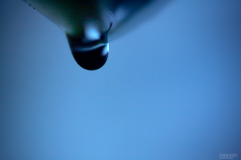 b0144437_2034388.jpg