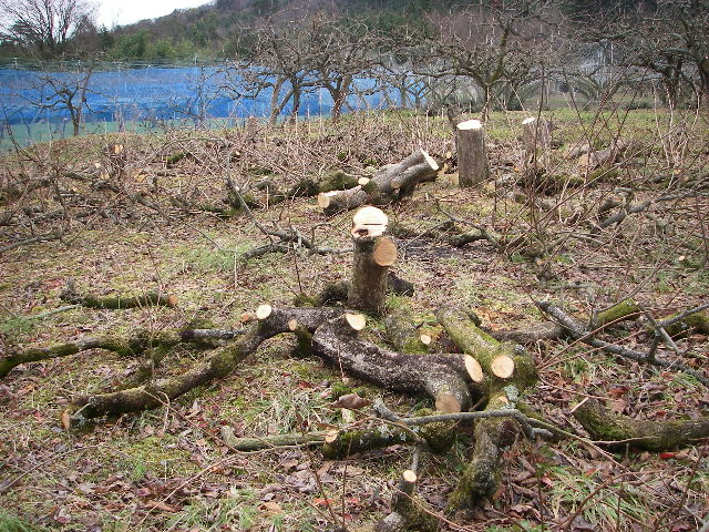 f0053342_21514671.jpg