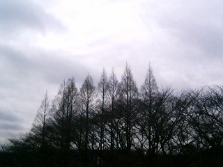 e0150843_18324626.jpg