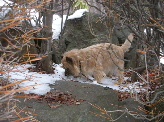 c0147548_21461092.gif