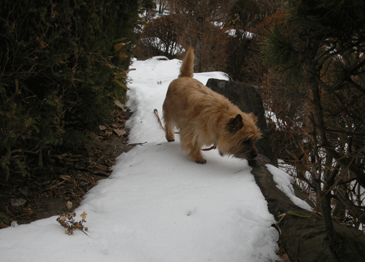 c0147548_21485929.gif