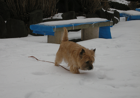 c0147548_215825.gif