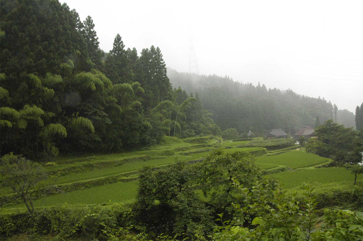 a0116551_13264744.jpg