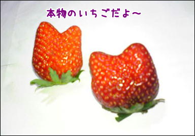 d0139352_1441197.jpg