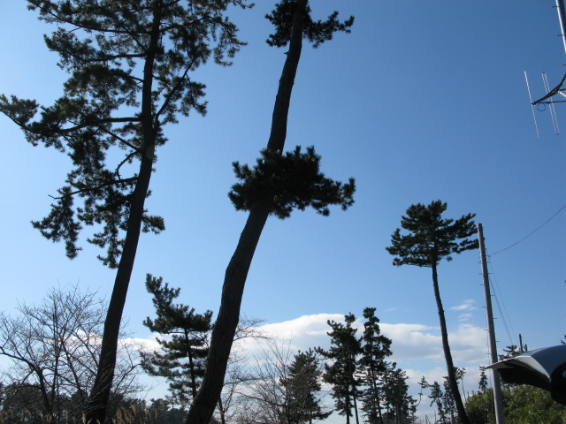 e0070552_17162957.jpg