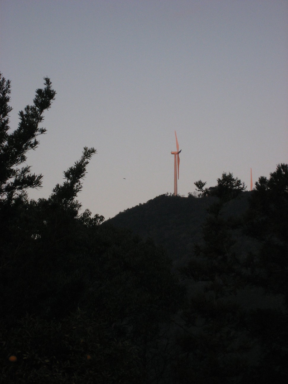 f0089352_13103.jpg